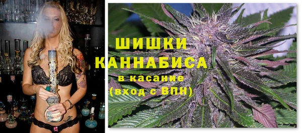 ешки Аркадак
