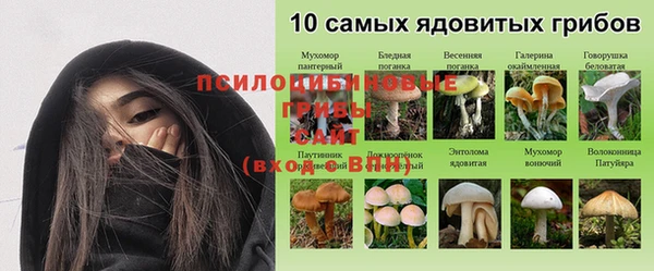 меф Арсеньев
