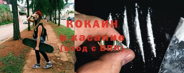 ешки Аркадак