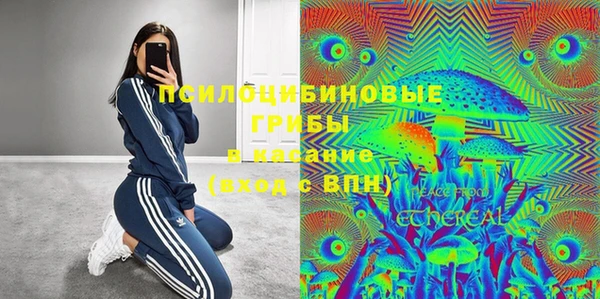 меф Арсеньев