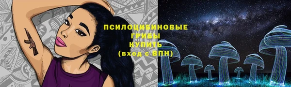 ешки Аркадак