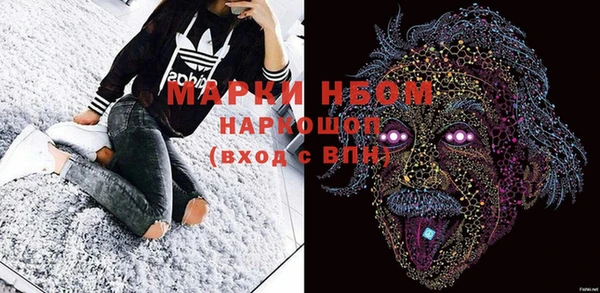 ешки Аркадак