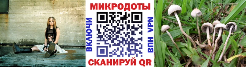 цены KRAKEN ссылки Галлюциногенные грибы прущие грибы Лангепас